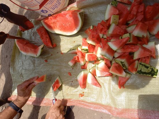 Die Melone teilen wir in kleine Stücke,  damit jeder etwas bekommt.