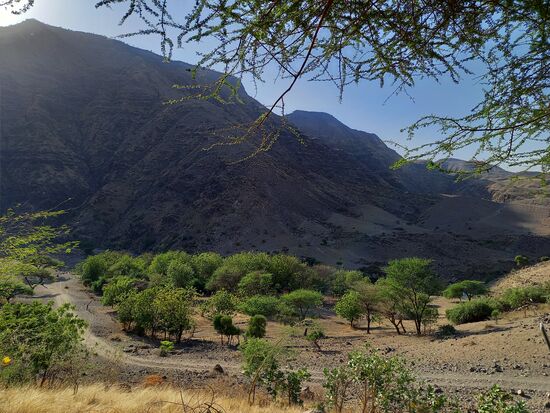 Blick vom Campingplatz in Richtung Fluss