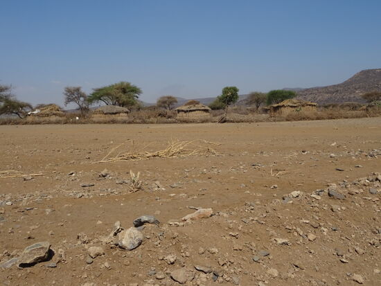In der Ferne sind immer wieder die typischen Massai Dörfer zu sehen.  Lehmhütten umgeben von einer Dornenhecke.