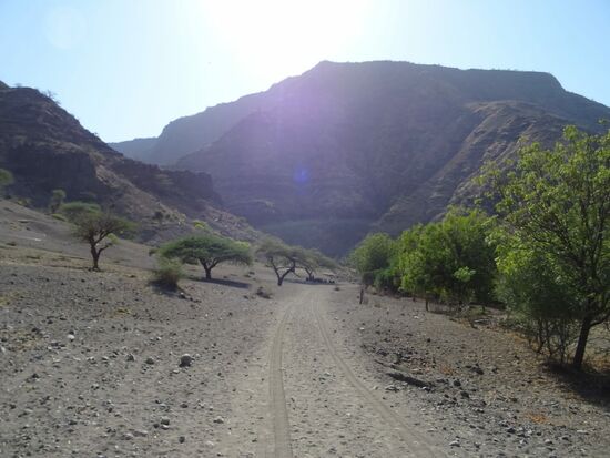 Der Weg Richtung Fluss