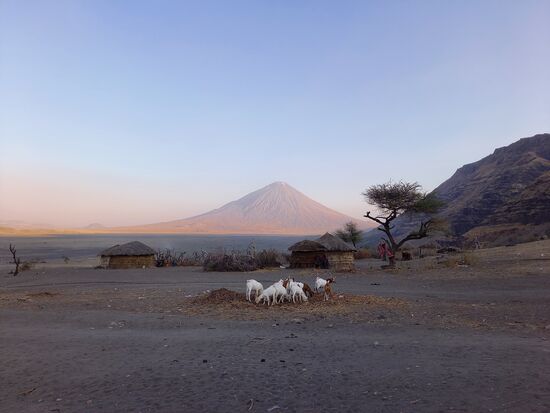 Direkt neben dem Campingplatz ist ebenfalls ein Massai Dorf mit Blick auf den Vulkan.