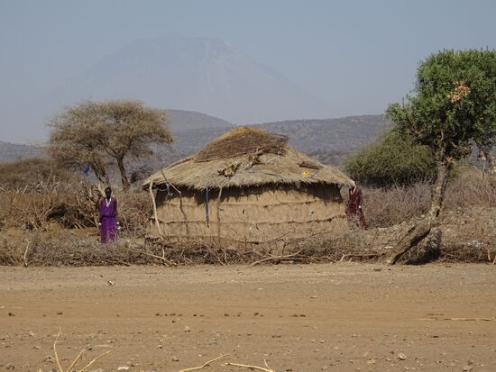 Die farbigen Shukas der Massai sind stets ein leuchtender Farbpunkt und schon von weitem zu sehen.
