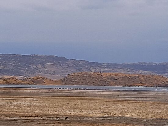 In der Ferne sind die Flamingos zu sehen.