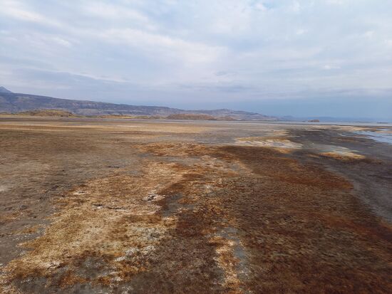 Ein tolles Farbenspiel