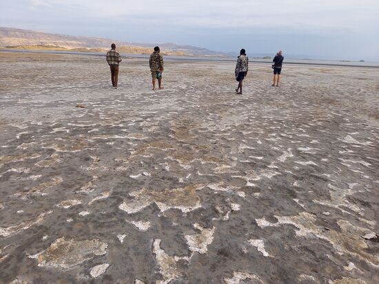 Was für eine bizarre Landschaft...