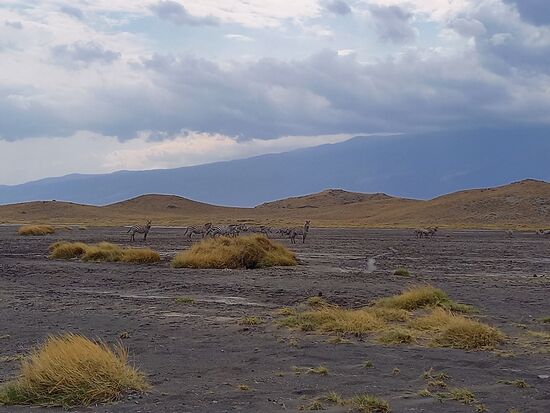 Wir versuchen uns etwas zu nähern ....
