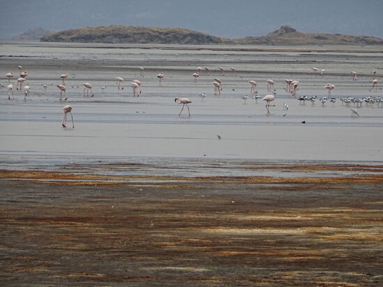 Ein bisschen näher dürfen wir kommen....