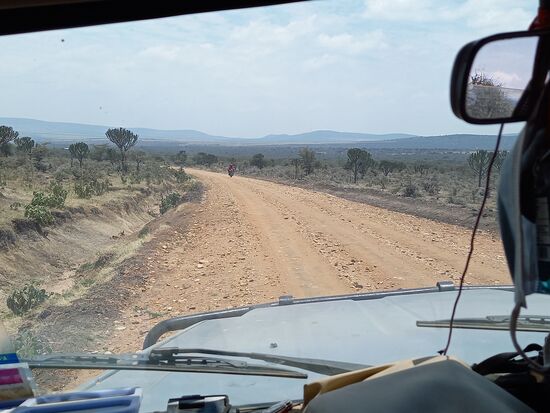Schon geht es weiter in Richtung Serengeti.