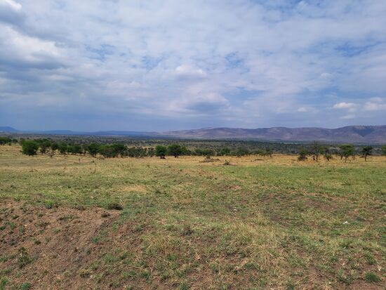 Schon nach kurzer Fahrt wird es zunehmend grün. Es hat gestern erst geregnet.