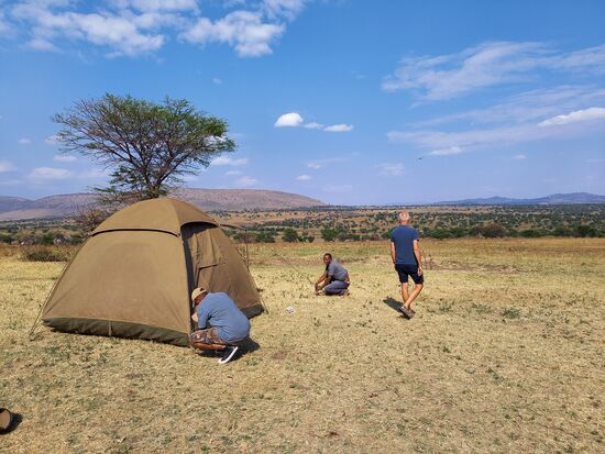 Nach weiteren 25km und 1,5 Stunden über holprige Piste wird auf einer Anhöhe unser Zelt aufgebaut. Wir bekommen einen ersten Eindruck von der weiten Serengeti.