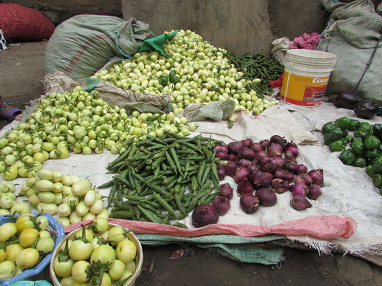 Wir entdecken winzig kleine Paprika