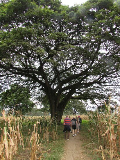 Auf schmalen Trampelpfaden geht es weiter