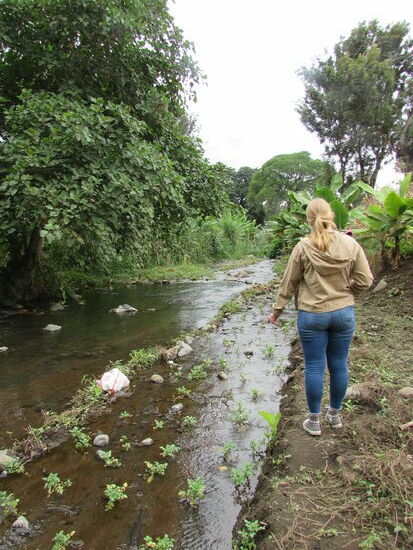 Hier zeigt uns Raju wie im Flußbett Salat angebaut wird.