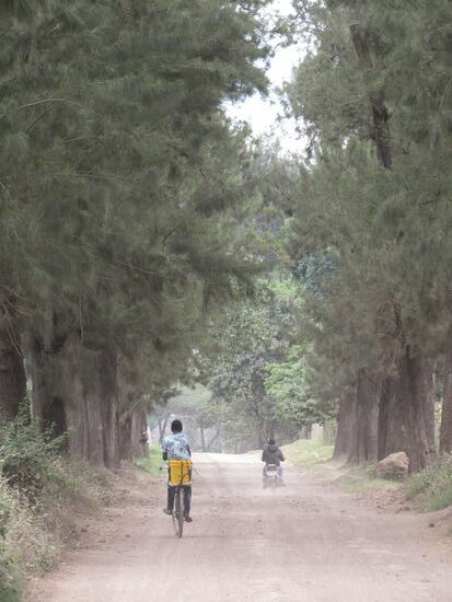 Auf staubiger Straße ziehen wir weiter