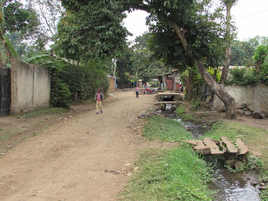 In den Gräben wird das gesamte Abwasser abgeführt. Teilweise sieht es aus wie reine Seifenlauge.
