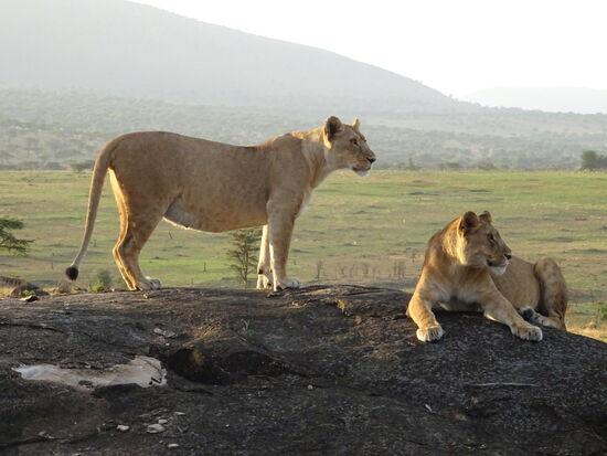 Was für ein schöner Anblick.