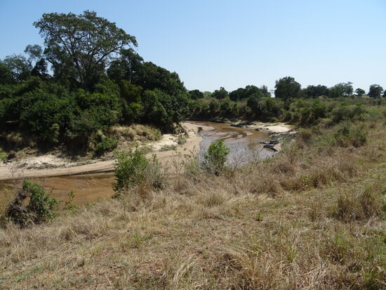 Blick auf den Grenzfluss