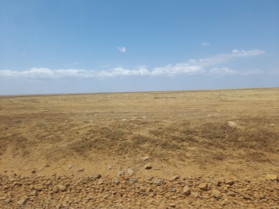 Dann geht es weiter durch die schier endlos erscheinende Weite der Serengeti.