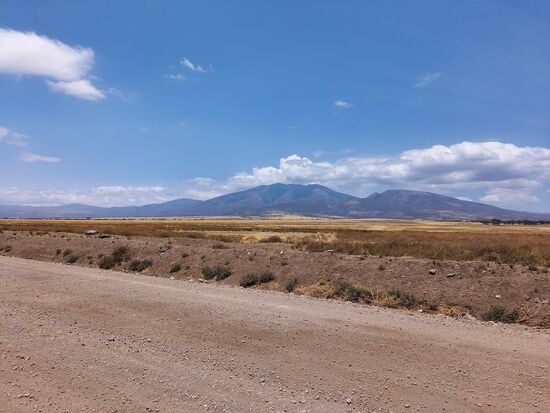 Nun führt uns der Weg in Richtung Ngorongo Krater.