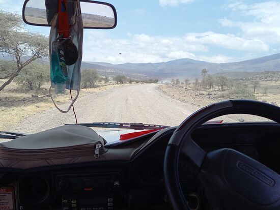 Je näher wir dem Krater kommen, je grüner wird es.