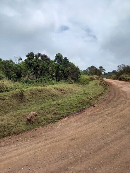 Nun geht es stets aufwärts zum Krater Rand.