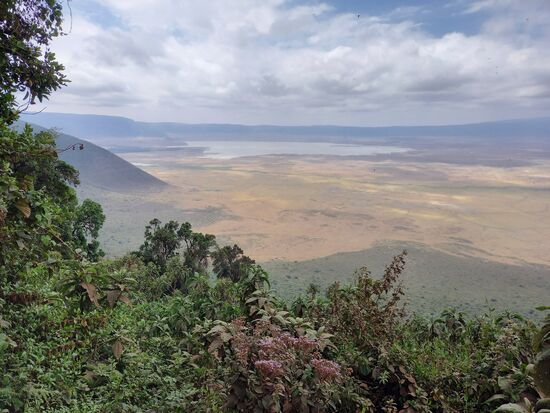 Diese Aussicht kennen wir bereits aus 2019. Damals haben wir die Tierwelt im Krater bestaunt - es war ein einmaliges Erlebnis und nun werden schöne Erinnerungen wach..
