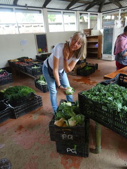 Gemüse vom Bio Farmer
