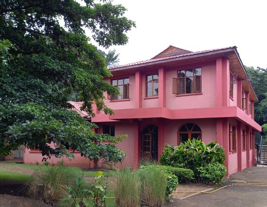 Cradle of Love Baby Haus