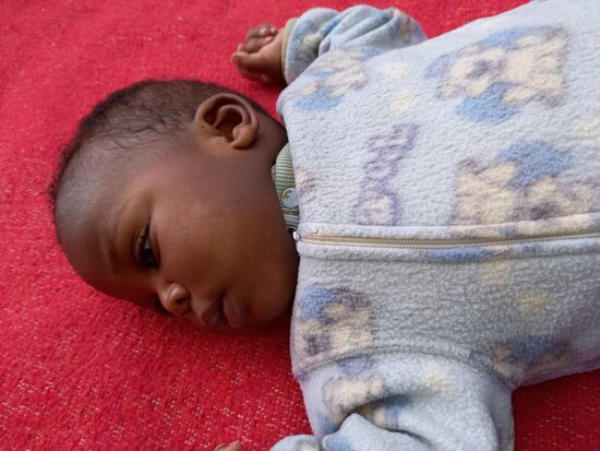 Die Babys haben allesamt schon viel Leid erlebt.