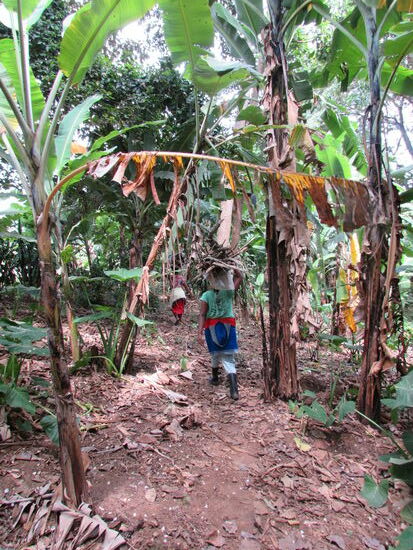Frauen leisten oft schwere Arbeit. Hier ziehen Zwei an uns vorbei, die Brennholz nach Hause tragen.