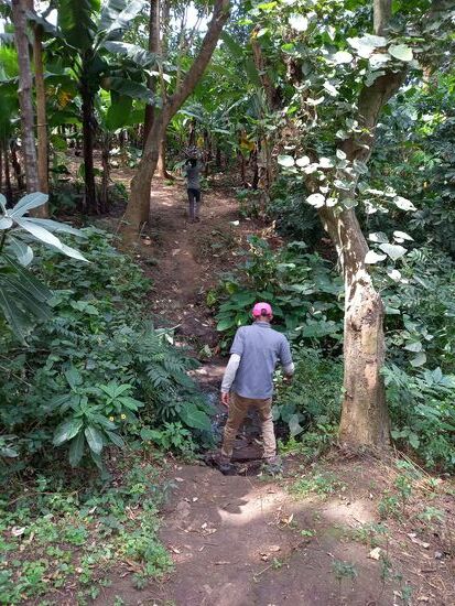 Ich folge Rajabu, der hier scheinbar jeden Trampelpfad kennt.