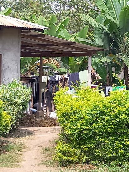 Typische Wohnhäuser, umgeben von Bananenstauden.