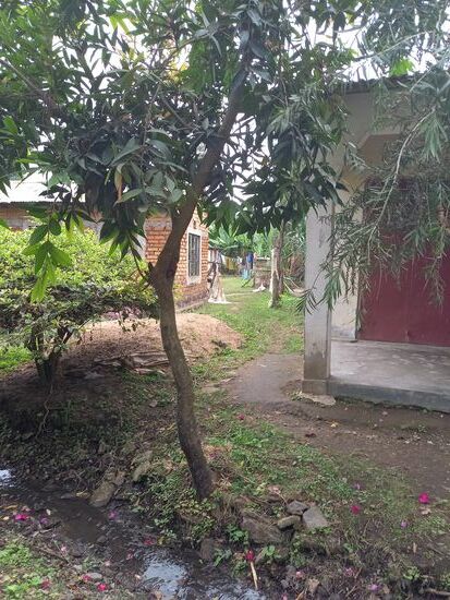 Entlang der Wohnhäuser sind kleine Bäche in denen auch die Abwässer abgeleitet werden.