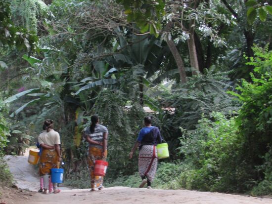 Wir kommen dem Naturschutzgebiet immer näher und alles ist üppig grün.