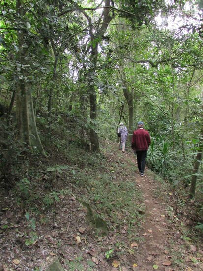 Auf schmalen Pfaden geht es weiter