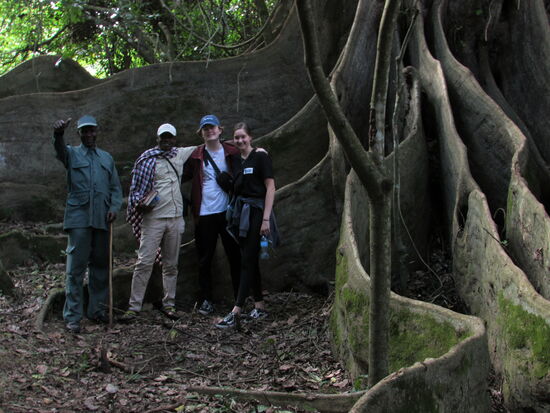 Dieses Wurzelwerk lädt zu einem Foto Shooting ein.