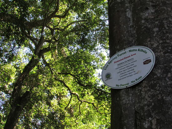 Dieses Schild markiert den Eingang zum Park. Wir tauchen in die angenehme Kühle des Waldes ein. Es gibt nur noch die Geräusche und Gerüche der Natur - herrlich!