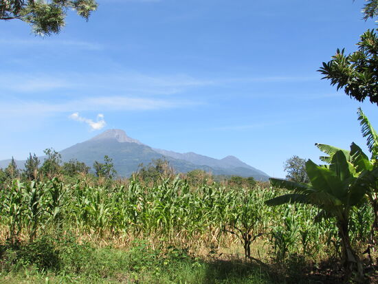 Ehe wir wieder zurück am Hostel sind, zeigt sich der Mount Meru noch einmal von seiner schönsten Seite.  