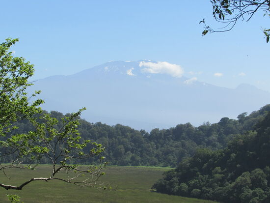Noch ein Blick auf den Kilimandscharo.
