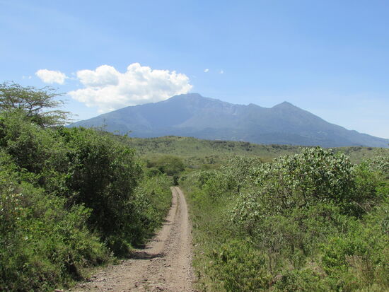 Die Fahrt geht weiter ...