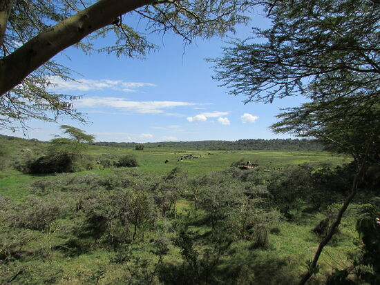 Blick von der Hatatri Lodge