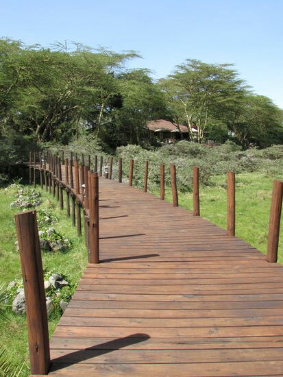 Von der Hatari Lodge führt ein Steg direkt zu einer grünen Ebene auf der man Wildtiere beobachten kann.