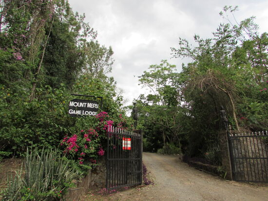 Schon der Eingangsbereich lässt erahnen, das es sich bei dieser Anlage um eine grüne Oase handelt.