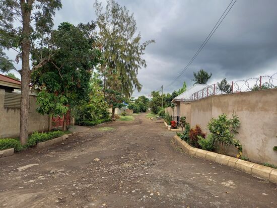 Auch heute ist der Himmel grau und die nunmehr 25Hrad empfinden wir nun fast als kühl.