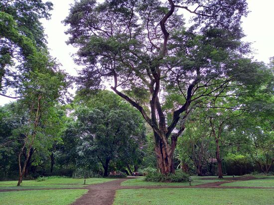 In dieser herrlichen Oase verbummeln wir den Tag.