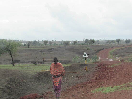 Es hat die ganze letzte Nacht in Strömen geregnet und schon hat die Grassteppe einen Hauch von Grün.