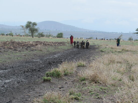 Doch leider wird auch der Weg immer matschiger.