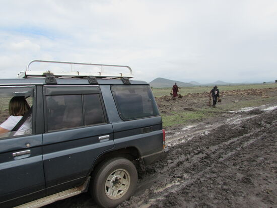 Es ging ganz schnell und wir waren festgefahren. Es ging nicht mehr vorwärts noch rückwärts.