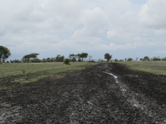 Vor uns eine ewige Matschpiste.