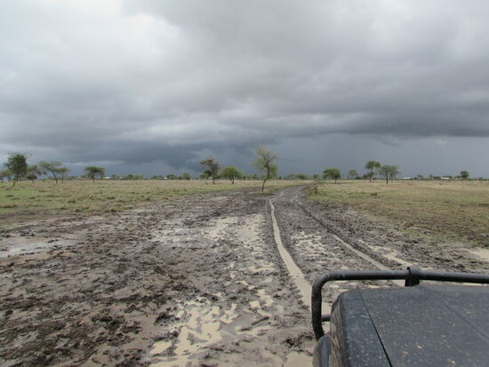 Doch unsere Freude dass es endlich weiter geht, ist nicht von langer Dauer und wir stecken erneut fest. Wieder wird alles mögliche probiert.  Doch ohne Erfolg.